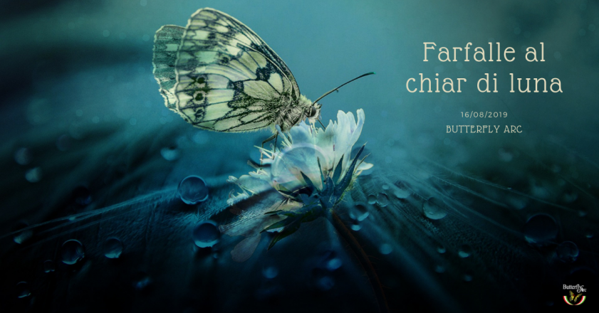 Farfalle al chiar di luna